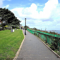 Buy canvas prints of Tourists walking the cliff path at Keet's green in Shanklin Ise of Wight by john hill