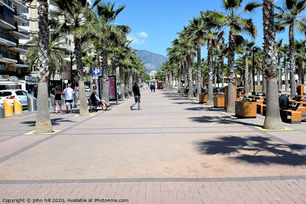 Palm tree colonnade at Fuengirola Spain. Picture Board by john hill
