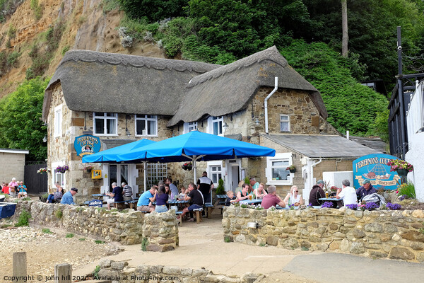 Thatched  Fisherman's cottage on the beach at shanklin on the Isle of Wight. Picture Board by john hill