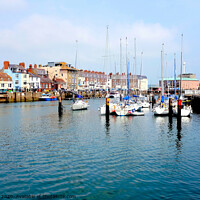 Buy canvas prints of Sailing yachts at the habour side at Weymouth in Dorset. by john hill