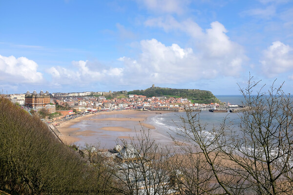 Scarborough South bay at Low tide in April.  Picture Board by john hill