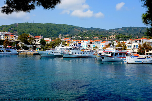 Tha old port at Skiathos town in Greece.  Picture Board by john hill