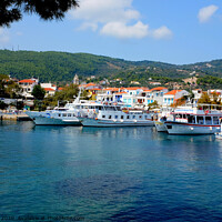 Buy canvas prints of Tha old port at Skiathos town in Greece.  by john hill