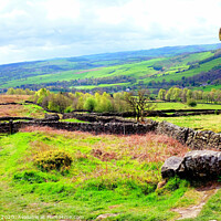 Buy canvas prints of Footpath into Curbar valley in Derbyshire. by john hill