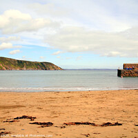 Buy canvas prints of Looking out towards the sea at Gorran Haven in Cornwall. by john hill