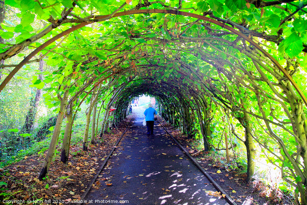 Tree Tunnel at Christchurch in Dorset. Picture Board by john hill