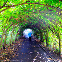 Buy canvas prints of Tree Tunnel at Christchurch in Dorset. by john hill