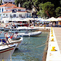 Buy canvas prints of The Old port at Skiathos Town on the Island of Skiathos in Greece. by john hill