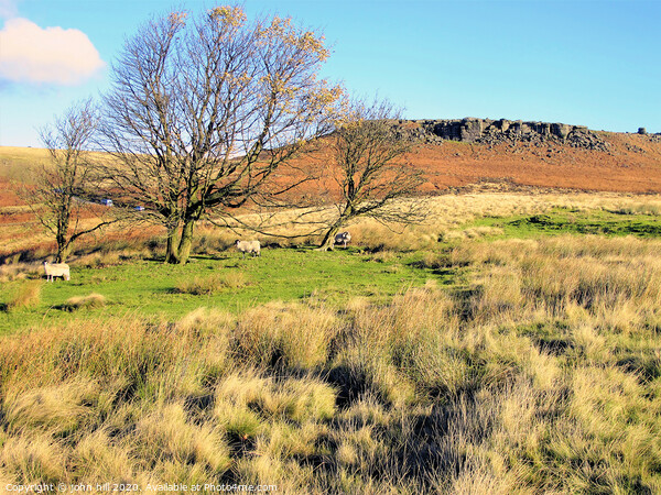 Moorland and Higger Tor in Derbyshire. Picture Board by john hill