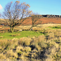 Buy canvas prints of Moorland and Higger Tor in Derbyshire. by john hill
