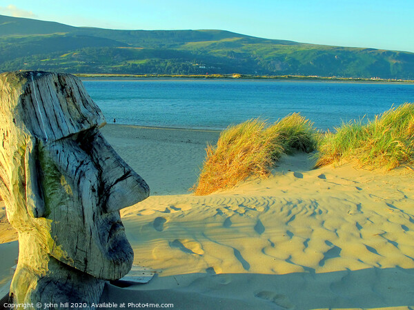 Wooden sculpture on the beach at Barmouth in Wales. Picture Board by john hill
