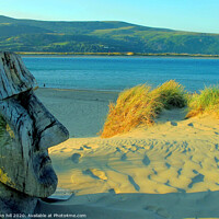 Buy canvas prints of Wooden sculpture on the beach at Barmouth in Wales. by john hill