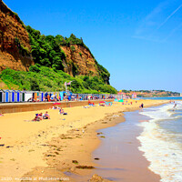 Buy canvas prints of The coast leading to Sandown from Shanklin on the Isle of Wight. by john hill