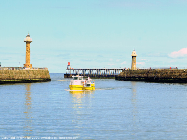 The Twin Piers at Whitby in Yorkshire. Picture Board by john hill