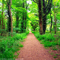Buy canvas prints of Forest footpath. by john hill