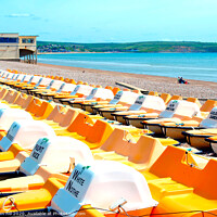 Buy canvas prints of Pedlos ready to go at Weymouth. by john hill