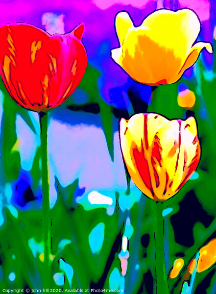 Digital Painting of Tulips Picture Board by john hill