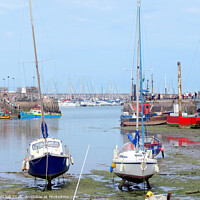 Buy canvas prints of The harbour looking out to the Marina at Brixham, in Devon. by john hill