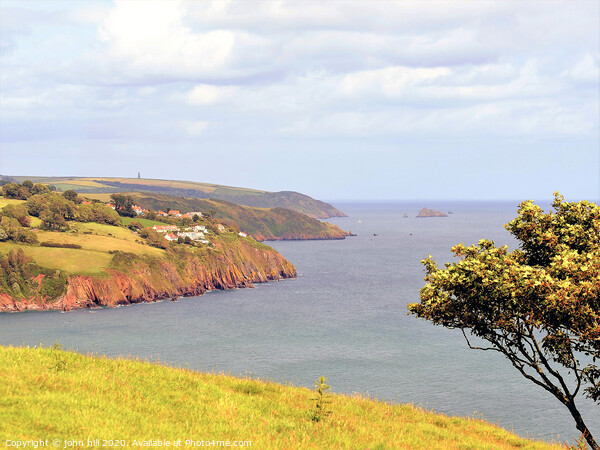 Coastline of South  Devon from the cliff coast path. Picture Board by john hill