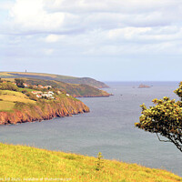 Buy canvas prints of Coastline of South  Devon from the cliff coast path. by john hill
