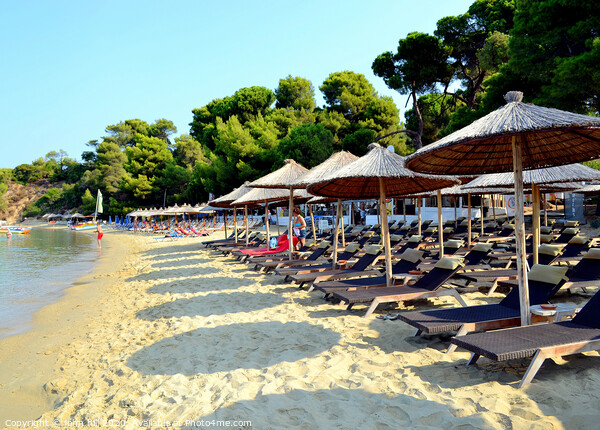 Banana Beach on the Island of  Skiathos. Picture Board by john hill