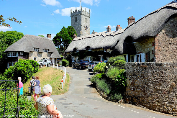 Village thatch at Godshill on Isle of Wight, UK. Picture Board by john hill
