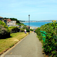 Buy canvas prints of Coastal path at Shanklin on the Isle of Wight, UK. by john hill