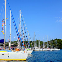 Buy canvas prints of Marina at Skiathos in Greece. by john hill
