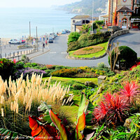 Buy canvas prints of Ventnor Municipal Gardens on the Isle of Wight. by john hill