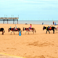 Buy canvas prints of Beach Donkey Rides. by john hill