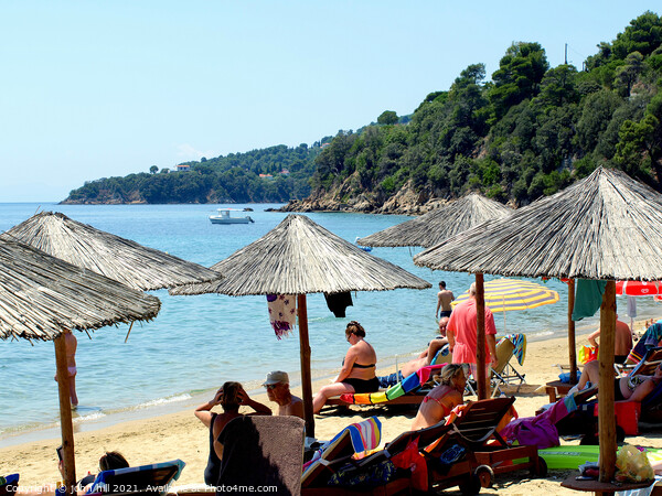 Achladia beach at Skiathos in Greece Picture Board by john hill
