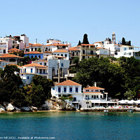 Buy canvas prints of Skiathos town from the sea by john hill