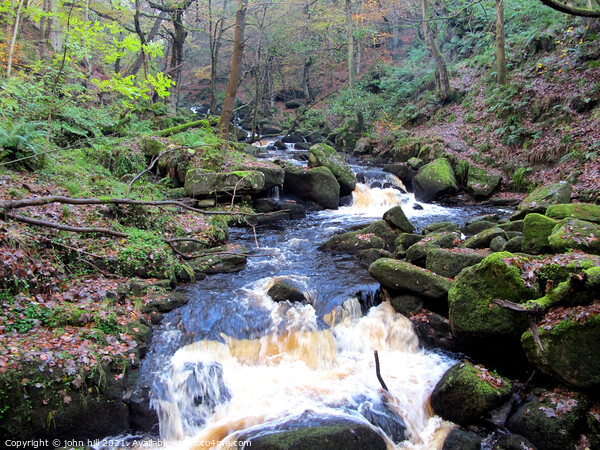 Padley Gorge, Derbyshire. Picture Board by john hill