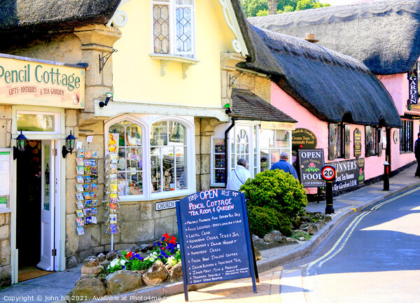 Old Shanklin on the Isle of Wight. Picture Board by john hill