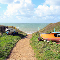 Buy canvas prints of Down to the sea at Brook Bay on the Isle of Wight. by john hill