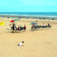 Buy canvas prints of Donkey rides on Mablethorpe beach. by john hill