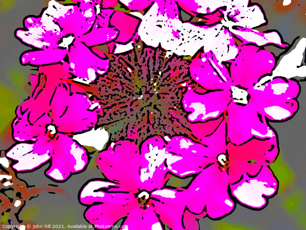 Digital abstract flowers Picture Board by john hill