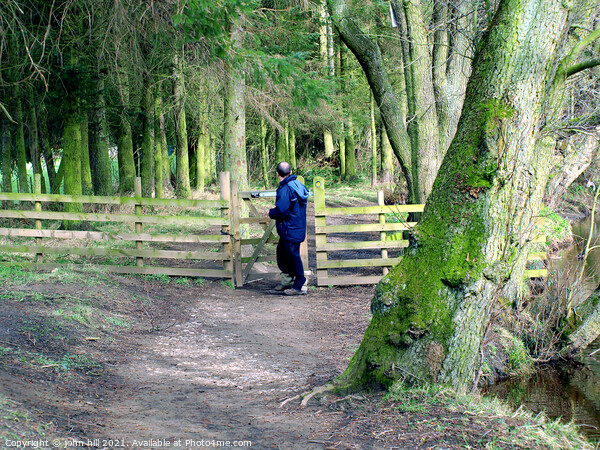 Woodland walk in Derbyshire. Picture Board by john hill