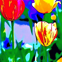 Buy canvas prints of Abstract painting of Tulips by john hill