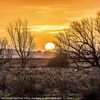 Buy canvas prints of A sunrise over the Fens by Veronica in the Fens