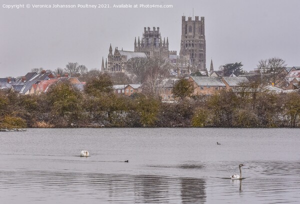 Winter Scenery with Ely Cathedral in Ely, Cambridgeshire  Picture Board by Veronica in the Fens