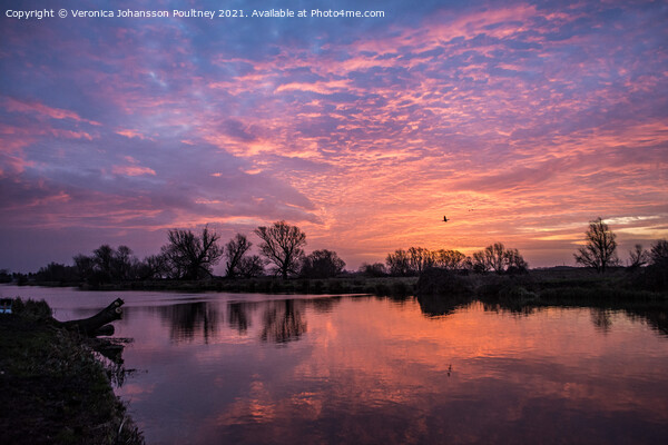 Sky cloud over river in Ely Picture Board by Veronica in the Fens