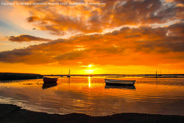 Sunset and Boats in Norfolk Picture Board by Veronica in the Fens