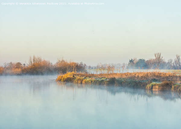 River Cam a misty Winters morning Picture Board by Veronica in the Fens