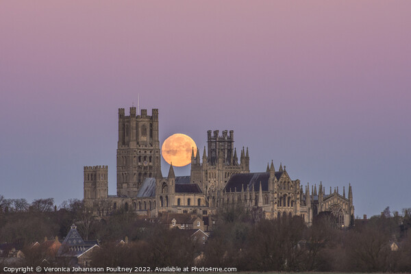 Ely Cathedral & the Wolf Moon Picture Board by Veronica in the Fens