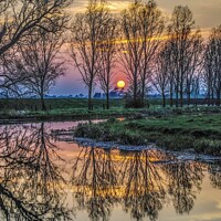 Buy canvas prints of Sunset reflection with threes by Veronica in the Fens