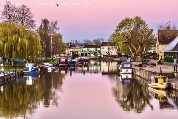 Ely Riverside  Picture Board by Veronica in the Fens