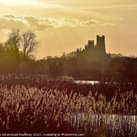 Buy canvas prints of The Ship of the Fens - Ely Cathedral by Veronica in the Fens