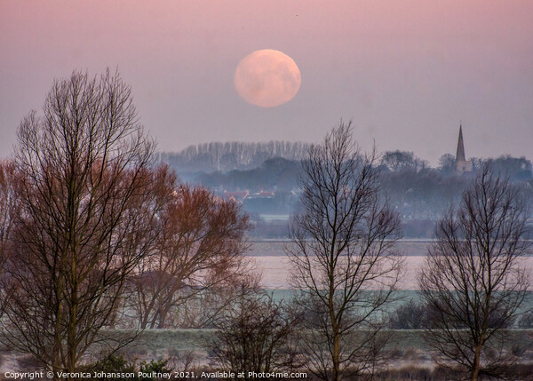 Fullmoon setting over Stretham in the Fens Picture Board by Veronica in the Fens