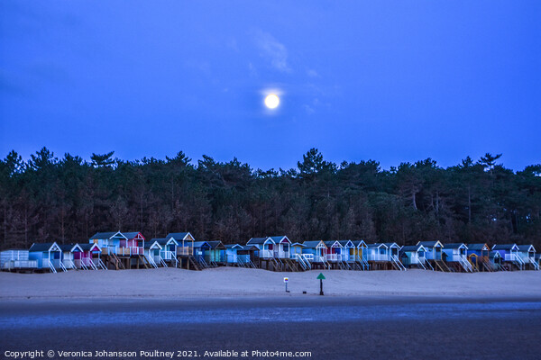 Beach Huts in the Moon light, Wells-Next-The-Sea Picture Board by Veronica in the Fens